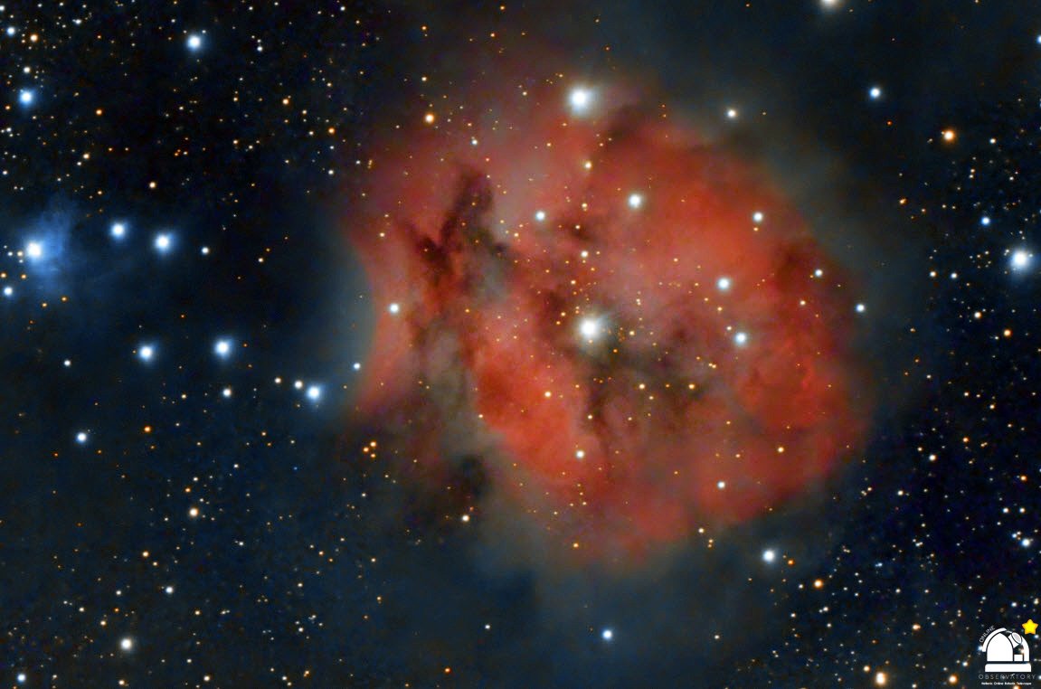 COCOON NEBULA IC5146 - HORTELESCOPE